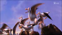 Seagulls chasing after the Crab.