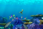 Nemo leaves with his class