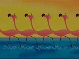 Snooty Flamingos