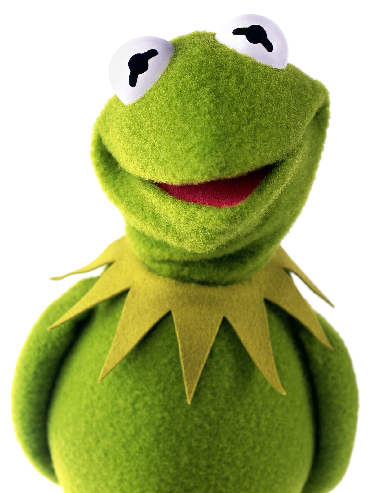 KERMIT THE FROG FLASHCARDS PHONICSカーミット Kermit the Frog | Disney Fan Fiction Wiki | Fandom