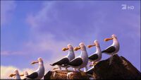The Seagulls seeing the Crab being thrown by Nigel.