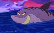 Undertow the shark