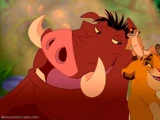 Pumbaa/Gallery