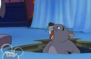 Gopher house of mouse
