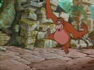 "Oh, the jungle VIP,"