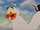Scuttle