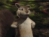 Benny (The Wild)