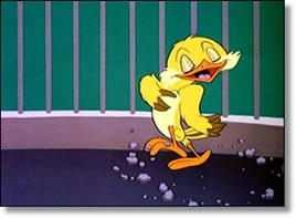 Frankiethecanary