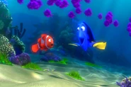 Dory meets Marlin