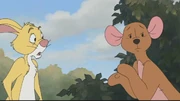 Rabbit with Kanga