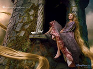 "Where a World of Adventure Awaits" Taylor Swift as Rapunzel