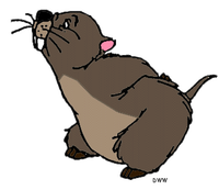 Gopher (Winnie the Pooh)/Gallery | Disney Fan Fiction Wiki | Fandom