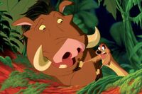 Pumbaa and Timon watch as Simba and Nala fall in love.