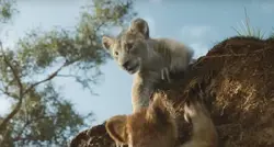 Young Binamu pulling Young Asani up to safety.