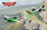 Planes nedzed rollout final