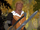 Clotaire