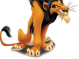 Scar/Gallery