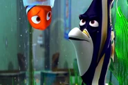 Nemo meets Gill