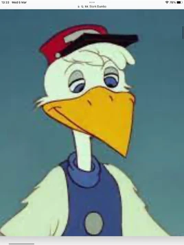 Mr stork