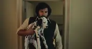Pongoandrogerincruella