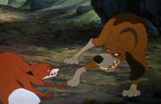 Fight Scene - (The Fox and The Hound).jpg