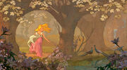 Enchanted concept