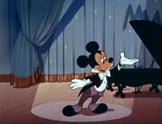 Mickey Mouse Club.jpg