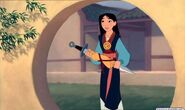 Mulan in Mulan.