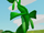 Magic Beanstalk