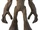 Groot