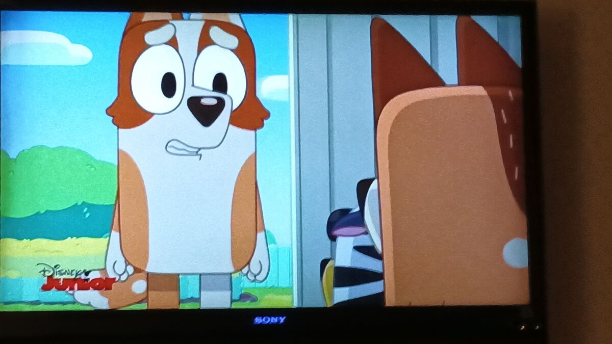 February 10, 2024 Disney Junior Broadcast Archives Wiki Fandom