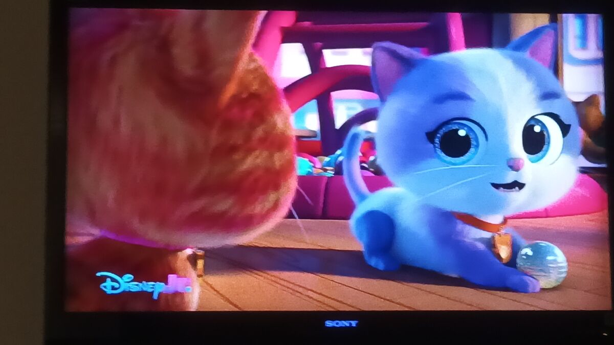 June 29, 2024 Disney Junior Broadcast Archives Wiki Fandom