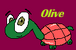 Olive turtle