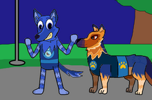 Captain k9 outlet