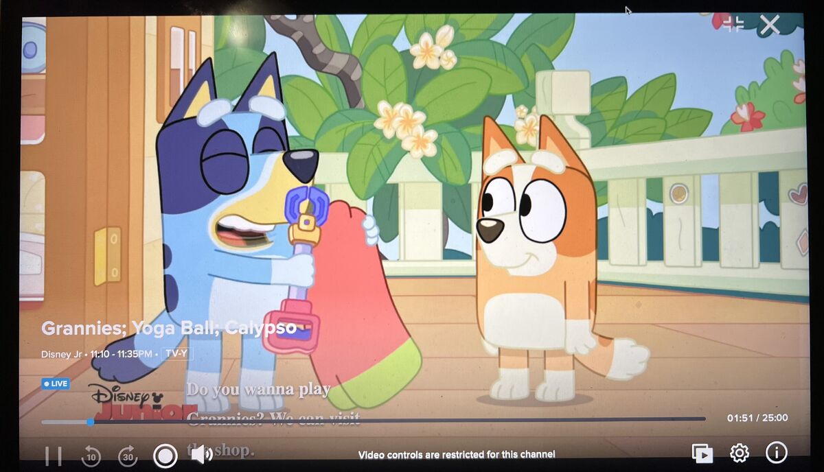 February 8, 2023 Disney Junior Schedule Archives Wiki Fandom