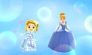 Mii and Cinderella - DMW2