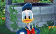 Donald Duck