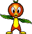 Orange Bird