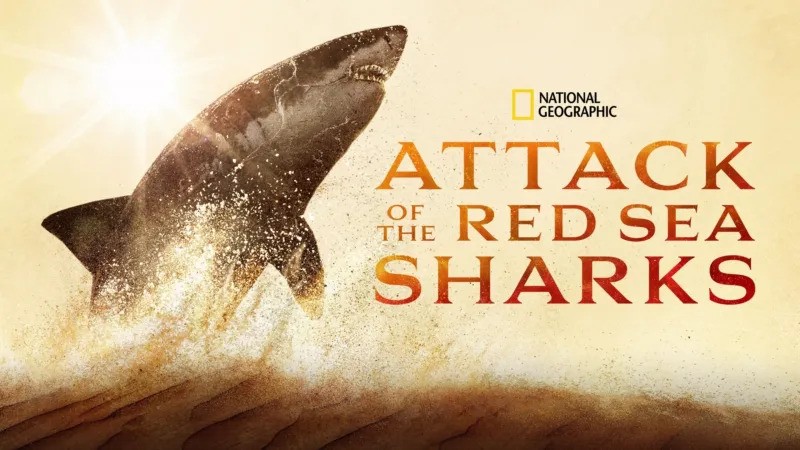 Attack of the Red Sea Sharks | Disney+ Australia Wiki | Fandom