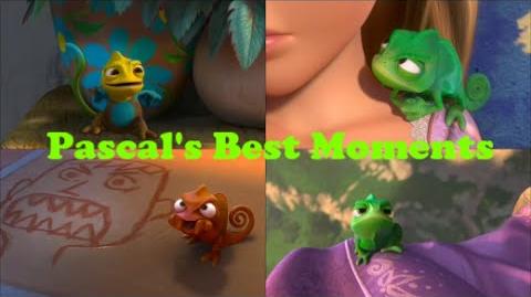 Tangled_-_Pascal's_Best_Moments
