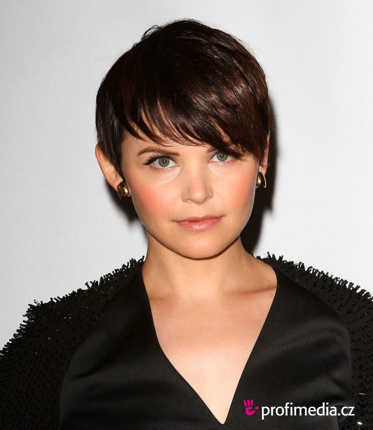 Ginnifer Goodwin Disney Voice Actors Wiki Fandom