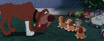 Lady-tramp-disneyscreencaps.com-8717