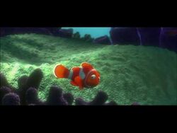 Finding Nemo, Disney Wiki