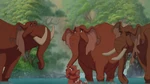 Tarzan-disneyscreencaps.com-2048