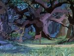 Bambi's mother in The Sword in the Stone, about to get shot by Kay