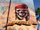 The Legend of Captain Jack Sparrow