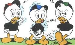 Super Stars Huey, Dewey and Louie at Disney's Stars 'n' Ca…