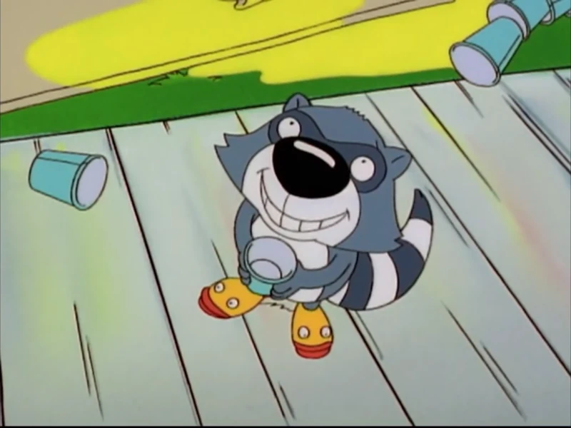 Scootch Raccoon