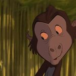 Baby Baboon Disney Wiki Fandom 〰️all rights belong to disney〰️ tarzan was a small orphan who was raised by an ape named kala since he was a child. baby baboon disney wiki fandom