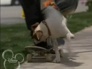 Vlcsnap-2015-08-27-19h52m45s635.png (126 KB) Jacques attacking Calvin